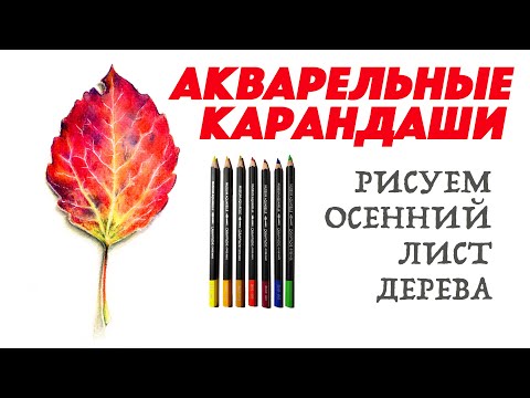 Видео: Рисуем осенний лист акварельными карандашами / Урок рисования