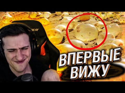 Видео: Hellyeahplay смотрит: 19 Вещей, Которые Вы Увидите Впервые в Жизни