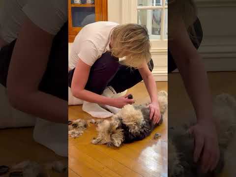 Видео: У Люси спа