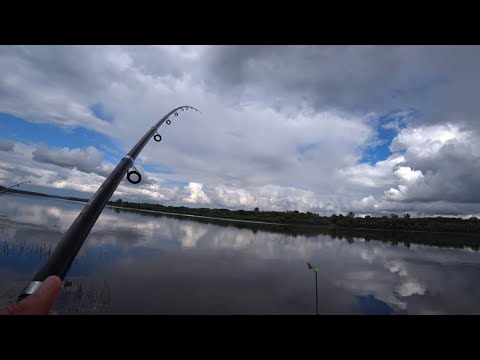 Видео: Рыбалка на Оке 2020! Донка скользящий монтаж! Ловля ночью на удочку!