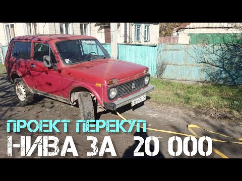 Видео: НА ПЕРЕПРОДАЖУ КОТ В МЕШКЕ ИЛИ ВЫГОДНАЯ СДЕЛКА???