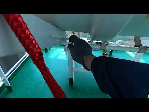 Видео: Как отдавать ПСН двумя способами?