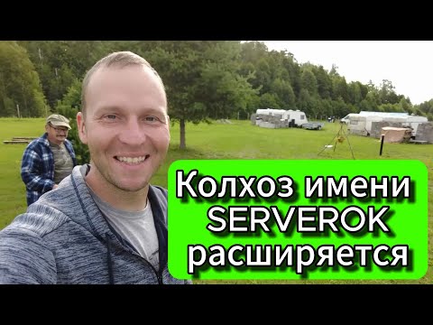 Видео: Что же мы купили на этот раз?