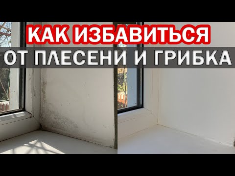 Видео: Как ИЗБАВИТЬСЯ ОТ ПЛЕСЕНИ И ГРИБКА на стенах и оконных откосах. Как отмыть откосы на окнах