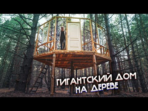 Видео: ДОМ В ЛЕСУ - ГИГАНТСКИЙ ДОМ НА ДЕРЕВЕ 2 ч