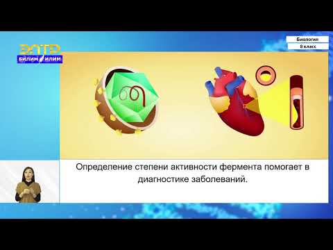 Видео: 8-класс | Биология | Обмен веществ и энергии