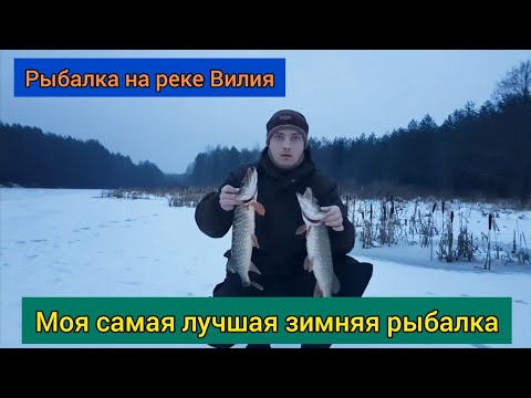 Видео: Рыбалка 2021 /Зимняя рыбалка на реке Вилия.Наконец-то открыл зимний сезон пойманной рыбой на жерлицы