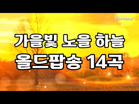 Видео: Осенний свет у окна 🎶 Старые поп-песни для душевного утра | Old Pop Songs