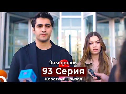 Видео: Зимородок 93 Cерия (Короткий Эпизод) (Русский дубляж)