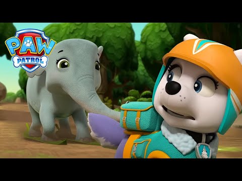 Видео: Еверест спасява слон, заседнал в джунглата - PAW Patrol Bulgarian - карикатури за деца