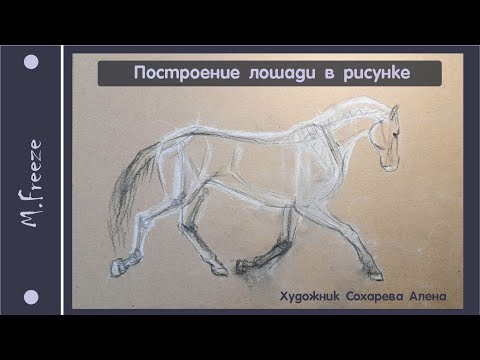 Видео: Построение лошади в рисунке