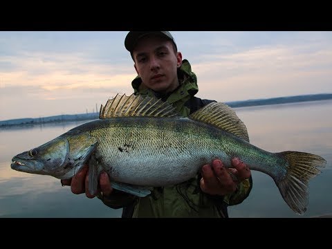 Видео: Как поймать много судака по холодной воде? Просто! Рыбалка на судака ранней весной
