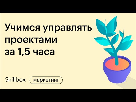 Видео: Управление задачами и ресурсами проекта за 1,5 часа. Интенсив для менеджеров проектов