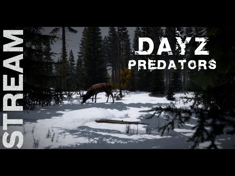 Видео: 🔴DayZ PREDATORS HARDCORE 🔴 ВЫЖИВАНИЕ С НУЛЯ...