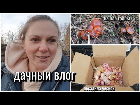 Видео: Срочные новости: как не остаться без крыши из-за мышей!