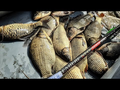 Видео: УХ И КАРАСИНЫ!!! Рыбалка 2022 на карася весной