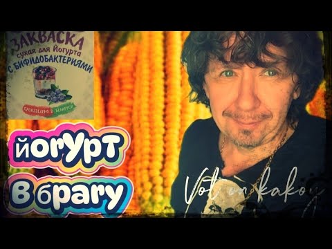 Видео: Йогурт в кукурузной браге на тростниковой барде. Две экстракции щепы.