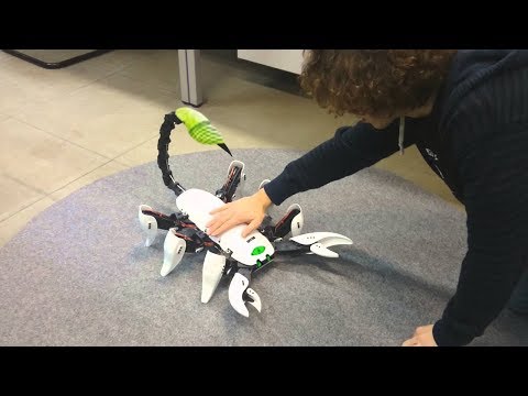 Видео: 10 САМЫХ КРУТЫХ РОБОТОВ ЖИВОТНЫХ