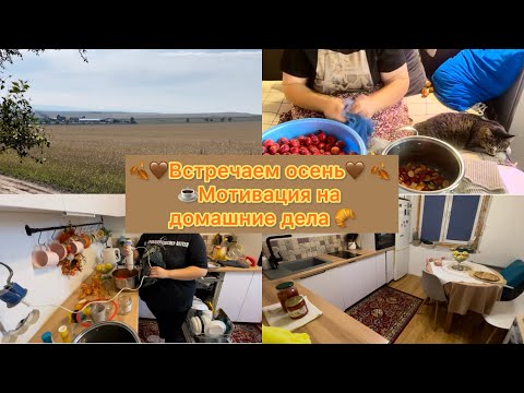 Видео: Встречаем осень вкусной выпечкой🍂🤎☕️🥐 Разговоры по душам и не только🤍