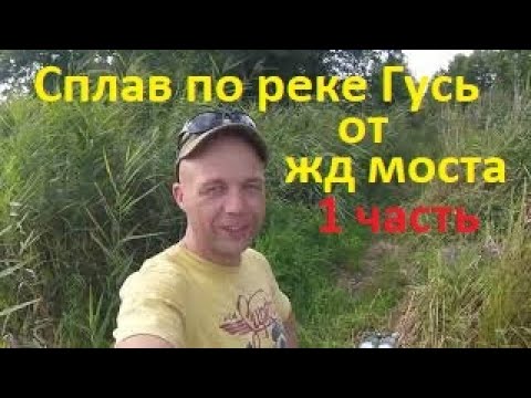 Видео: Сплав по реке Гусь от жд моста. 1 часть
