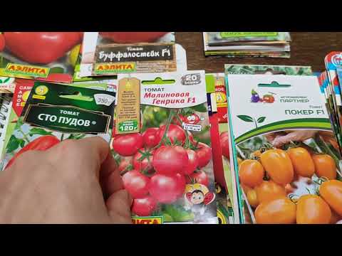 Видео: Выбор томатов на 2025 год :)