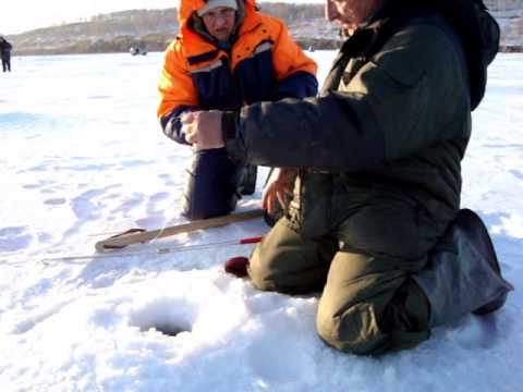 Видео: 8 марта 2012г  Инголь