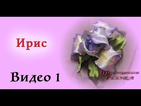 Видео: Мастер-класс Ирис. Часть 1. Мастер-класс цветы из ткани