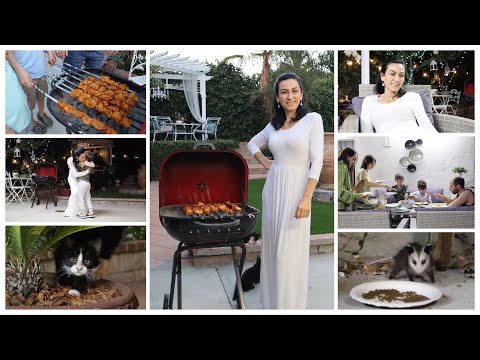 Видео: Классический Куриный Шашлык - Очень Выразительный День - Сиротка Ани 🦡 - Эгине - Heghineh