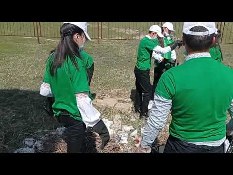 Видео: Эковолонтер