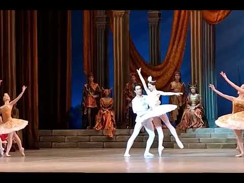Видео: Адажио 3 акт, Ксения Овчинникова и Педро Сеара, "Раймонда" 1 ноября 2025