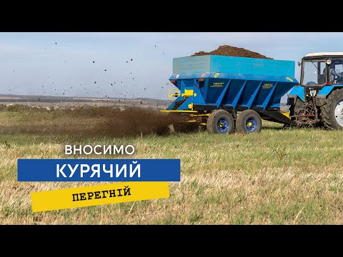 Видео: Як зменшити кількість мінеральних добрив?Вносимо перепрілий курячий послід!