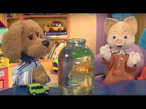 Видео: СПОКОЙНОЙ НОЧИ, МАЛЫШИ! - Золотая рыбка🐠 - Интересные мультики детям