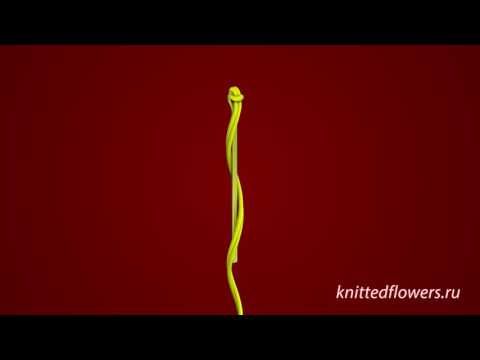 Видео: Тычинка лилии