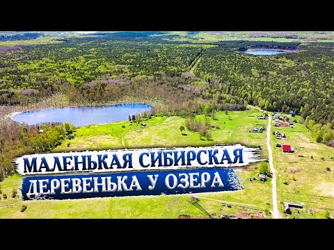 Видео: 429. Деревня Надеждинка Омская область. Очень уютная деревенька в тайге. Полный обзор деревни.