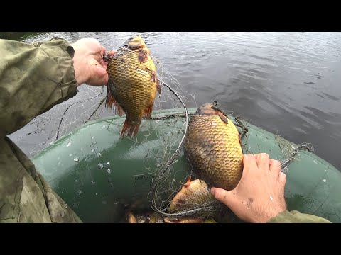 Видео: РЫБЫ НАБИЛО В СЕТИ ЦЕЛЫЙ БОЧОНОК. ПРОВЕРКА СТАВНЫХ СЕТЕЙ ВЕЧЕРОМ.