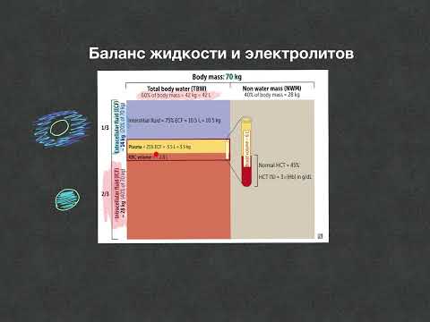Видео: Нефрология - Баланс электролитов - Урок 10