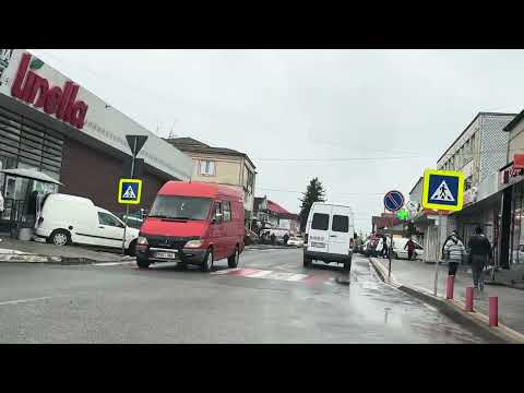 Видео: Обычный рабочий день в Бричаны.Север Молдова.