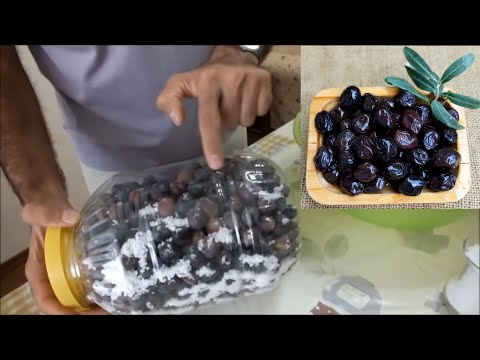 Видео: Как установить Черные Оливки!!!