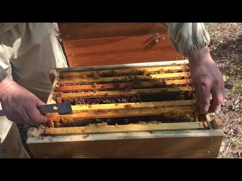 Видео: Подготовка в зиму гнёзда на 8 рамочном рогатом улье метод 2