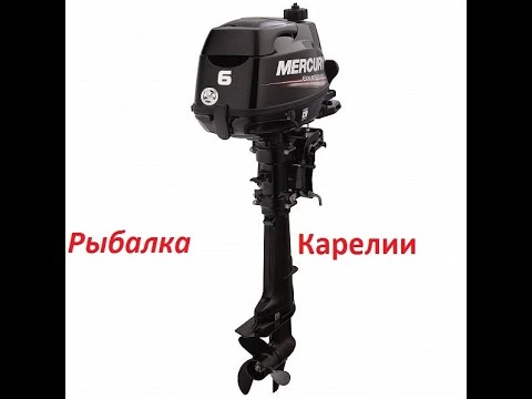 Видео: Mercury F 6/Замена масла/Гаражное ТО/
