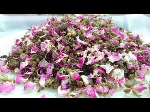 Видео: Собираем чай из цветов и бутонов шиповника, ферментированных листьев и красного клевера