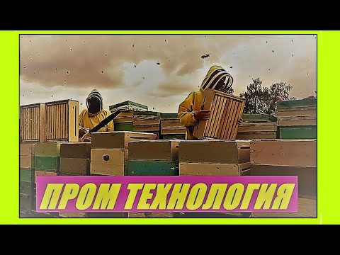 Видео: Сокращение времени на обслуживание пасеки.