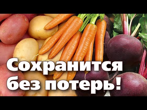 Видео: ПРАВИЛА ХРАНЕНИЯ ОВОЩЕЙ. Как хранить картофель, свеклу, морковь и другие овощи