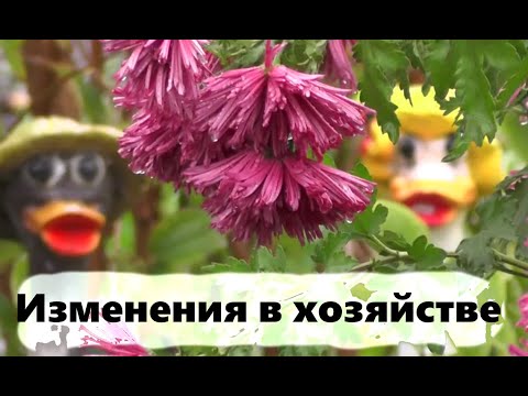 Видео: #177 Изменения в хозяйстве