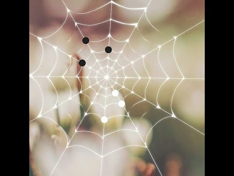 Видео: Фрагменты субботней лекции №1. "Основы игры до правил".