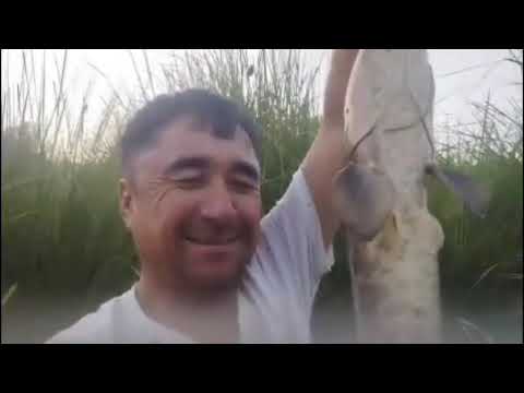 Видео: 10 сентября 2025 г.