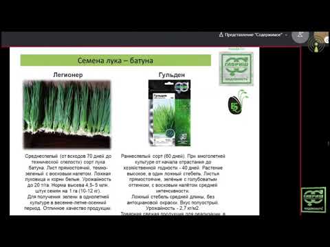 Видео: Микрюков Александр - Семена овощных культур для открытого грунта