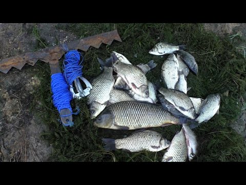 Видео: Ловля Карпа В Августе Река Днестр