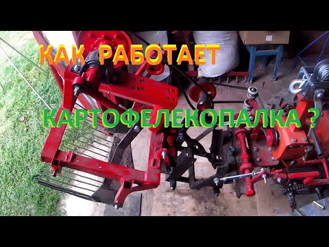 Видео: Как работает картофелекопалка?