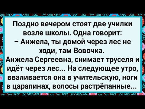 Видео: Как Анжела Сергеевна Через Лес Пошла! Новый Сборник Свежих Смешных Жизненных Анекдотов!